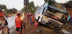    Sama-sama Ngeblong Bus Mira vs Sugeng Rahayu Nyaris Adu Banteng tapi Bus Masuk Parit, Penumpang Pecah Kaca Cendela