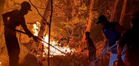    Waspadai Kebakaran Hutan di Musim Kemarau yang Kering ini, di Ponorogo Enam Kejadian Kebakaran