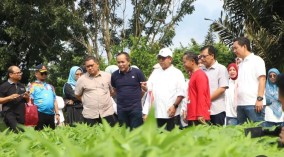 Pj. Gubernur Samsudin Mengajak Masyarakat Berkunjung Ke PKK Agro Park.