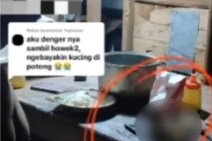 Viral, Video Bapak Kos di Semarang Makan Kucing: dari Pada Saya Mati Mending Kucing yang Mati!