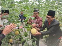 Kepala Dinas Kominfotik Provinsi Lampung menghadiri peresmian Sekolah Melon dengan teknologi Internet of Things (IoT System).