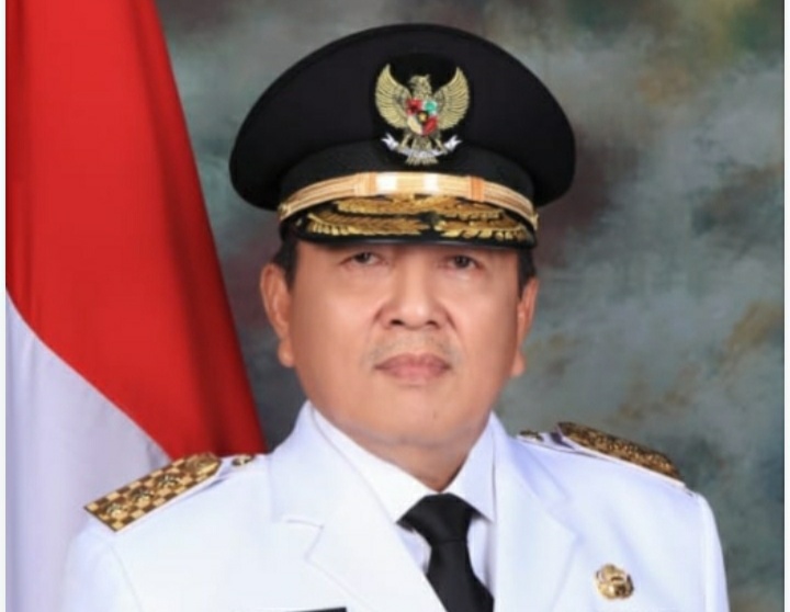 Arinal Djunaidi 