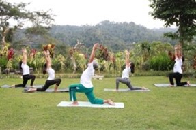 gerakan yoga