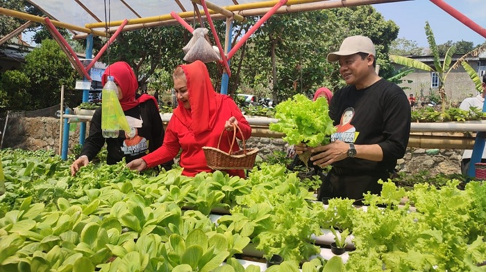 Program Petani Milenial Semarang Siap Diluncurkan di Ponpes Sunan Gunungjati Baalawy