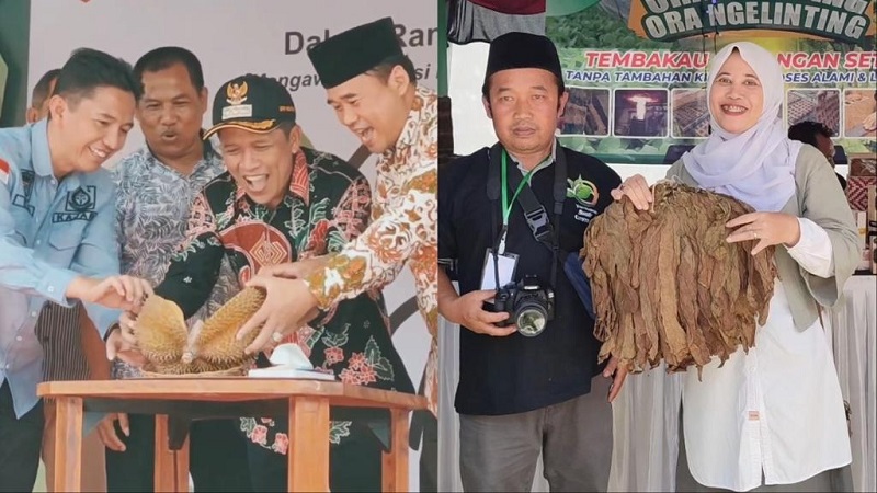 bupati