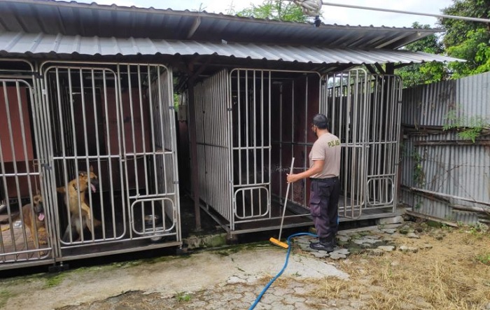 Jaga Kesehatan Anjing Pelacak, Unit K9 Polresta Surakarta Lakukan Perawatan Rutin