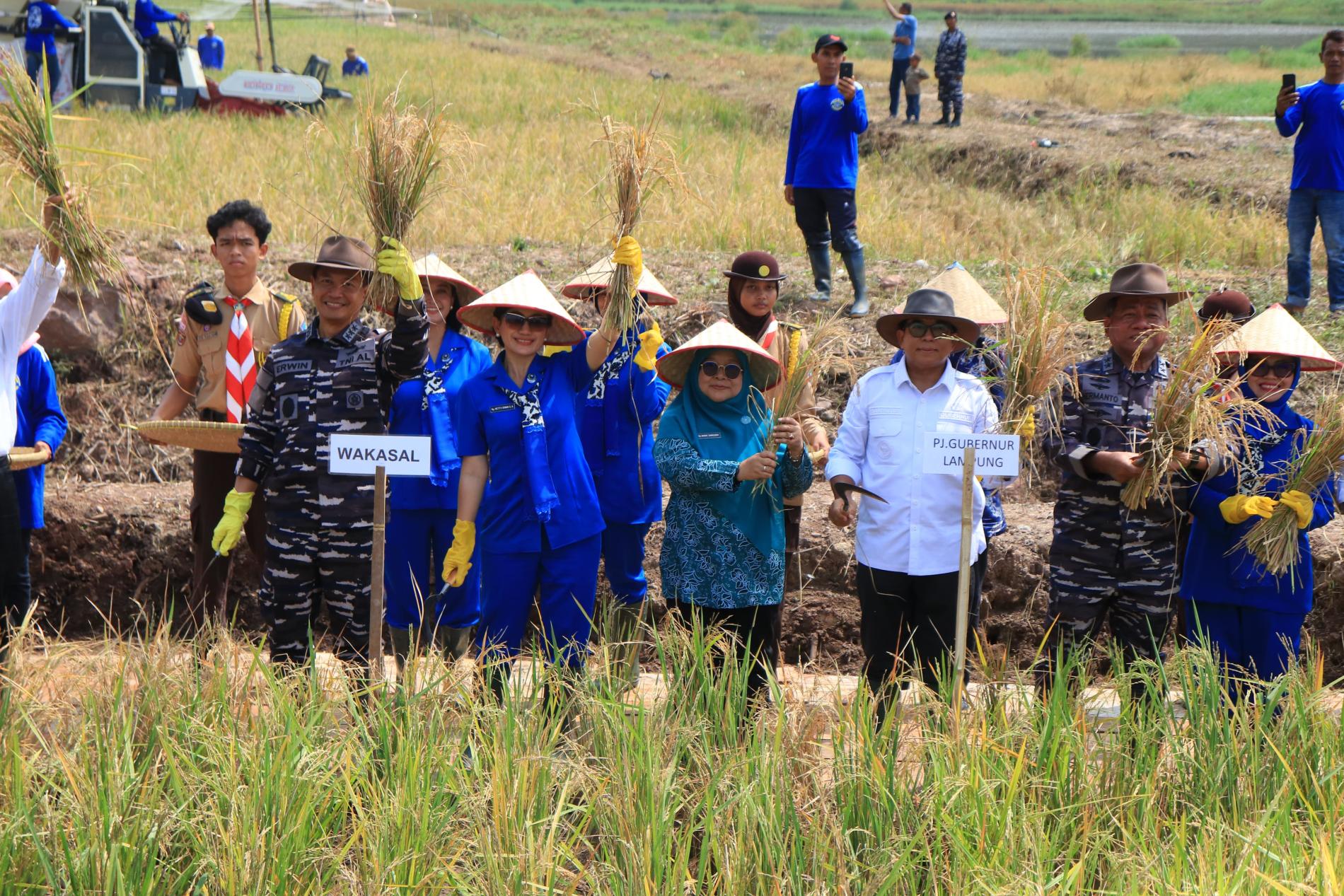 Pj. Gubernur Lampung Dampingi Menteri Pertanian RI Beserta Wakasal Pada Gebyar Panen Raya Padi dan Jagung Hibrida di Pesawaran