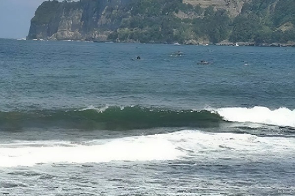 Pantai Dlodo Tulungagung 